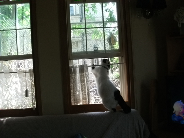 DSCF2495.jpg