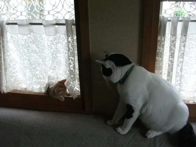 DSCF2508.jpg