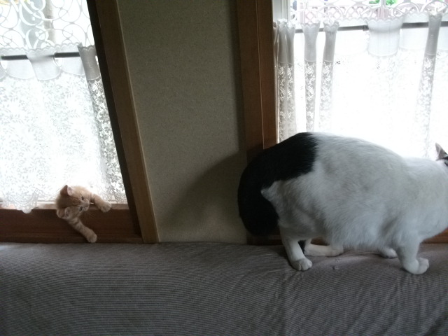 DSCF2513.jpg