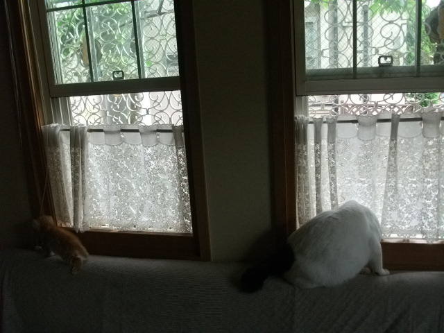 DSCF2515.jpg