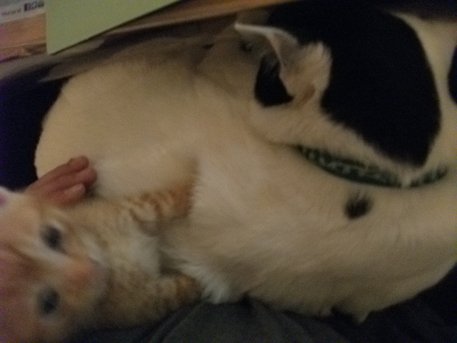 DSCF2517.jpg