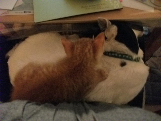 DSCF2519.jpg