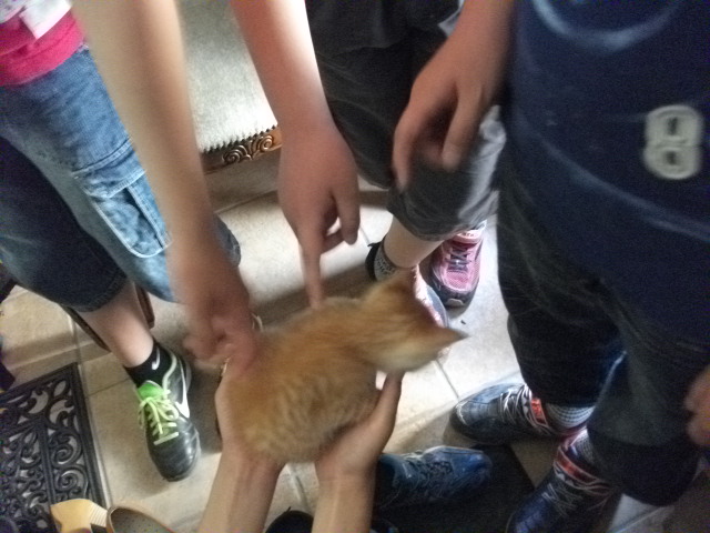 DSCF2528.jpg