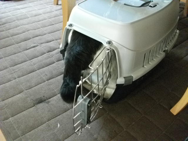 DSCF2538.jpg