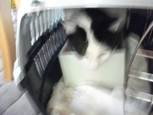 DSCF2543.jpg