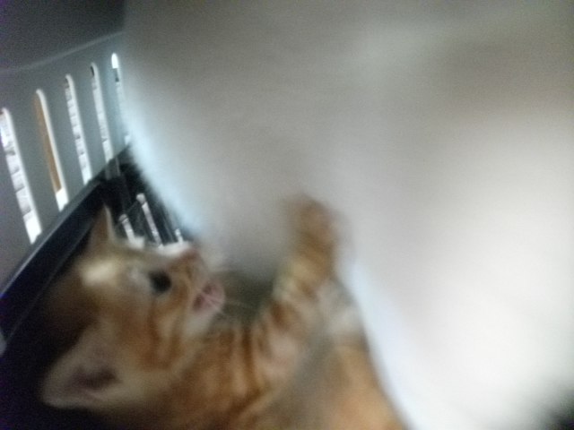 DSCF2548.jpg