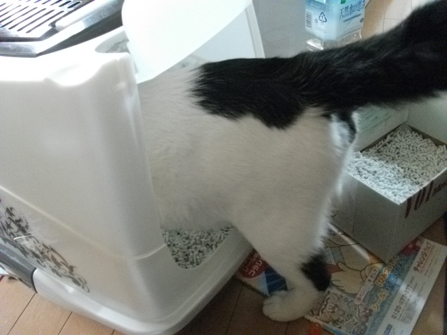DSCF2549.jpg