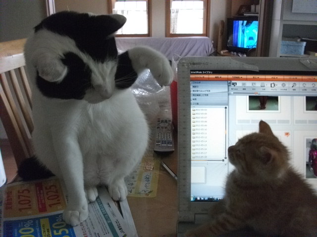 DSCF2590.jpg