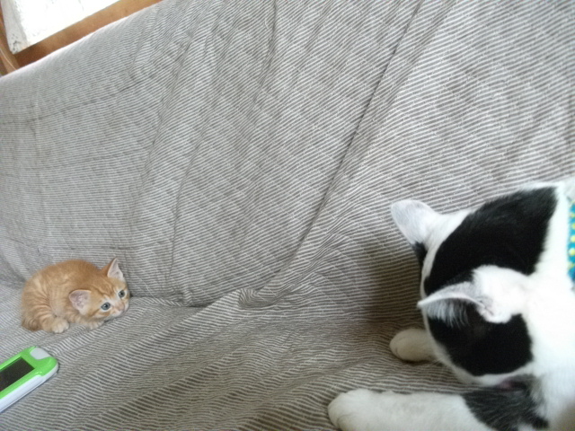 DSCF2617.jpg