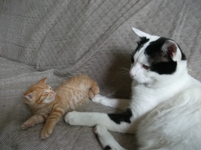 DSCF2620.jpg