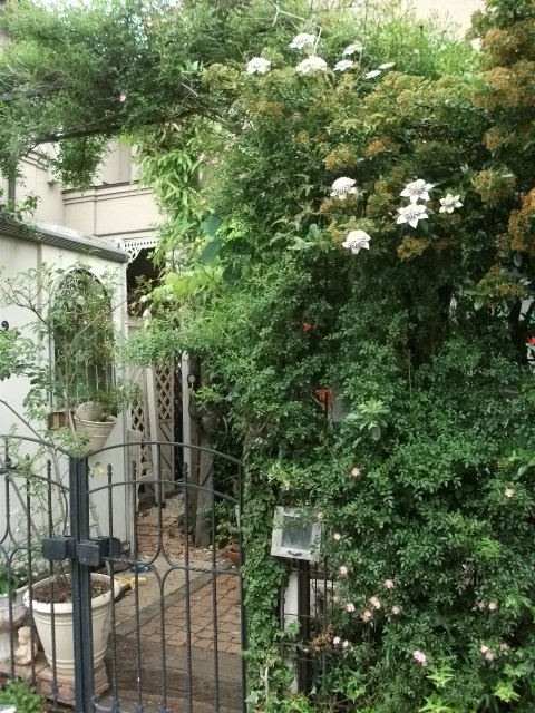 DSCF2643.jpg