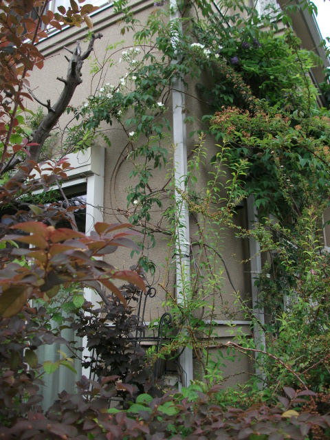 DSCF2646.jpg