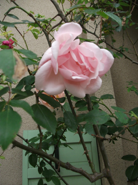 DSCF2651.jpg