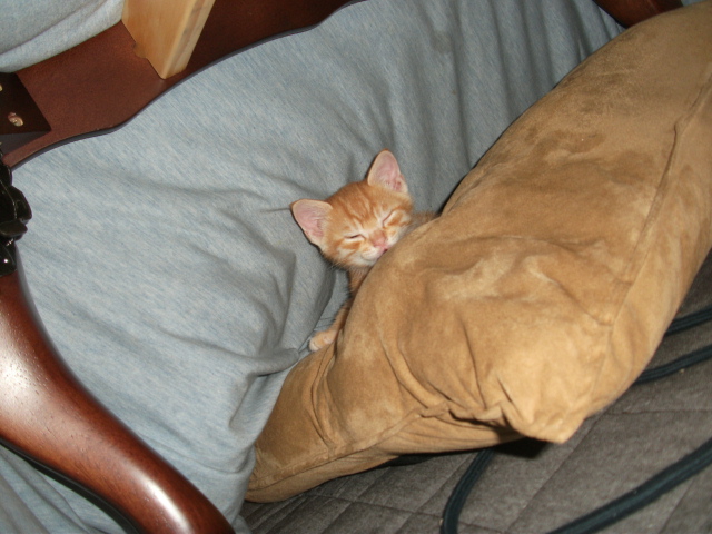 DSCF2661.jpg