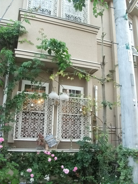 DSCF2670.jpg
