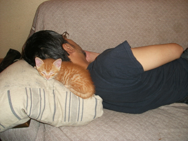 DSCF2715.jpg