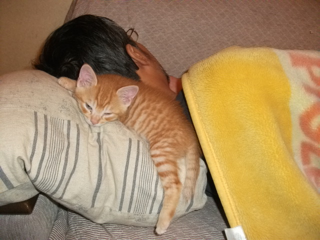 DSCF2716.jpg
