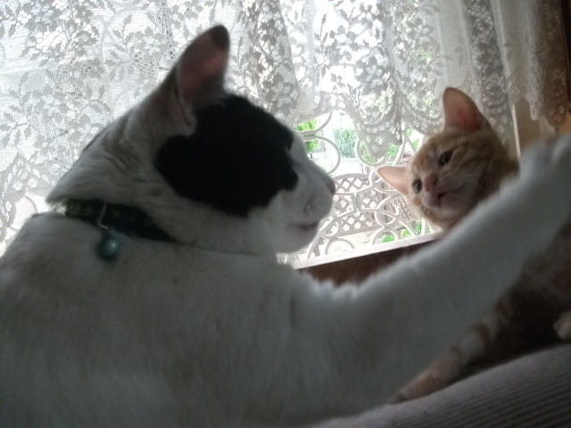 DSCF2752.jpg