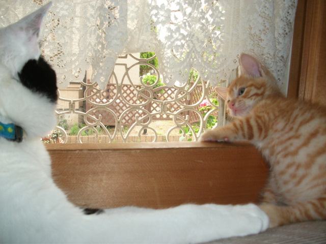 DSCF2754.jpg