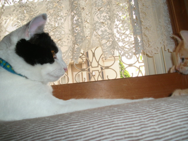DSCF2756.jpg