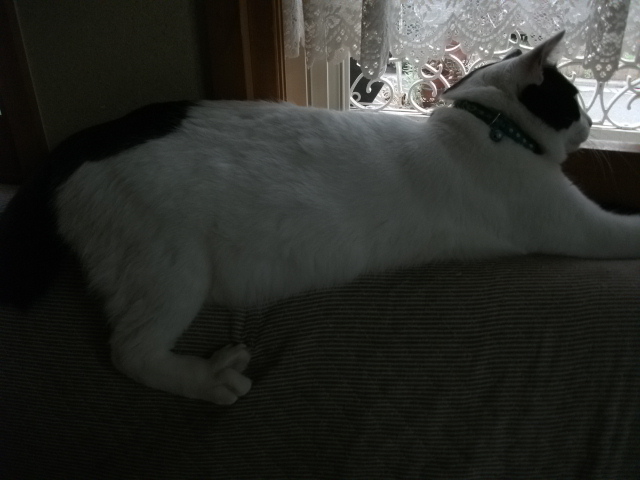 DSCF2776.jpg