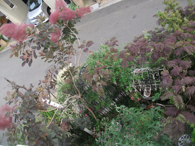 DSCF2790.jpg