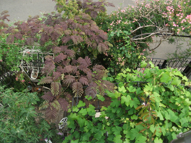DSCF2791.jpg