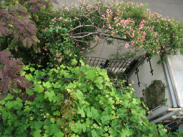 DSCF2792.jpg