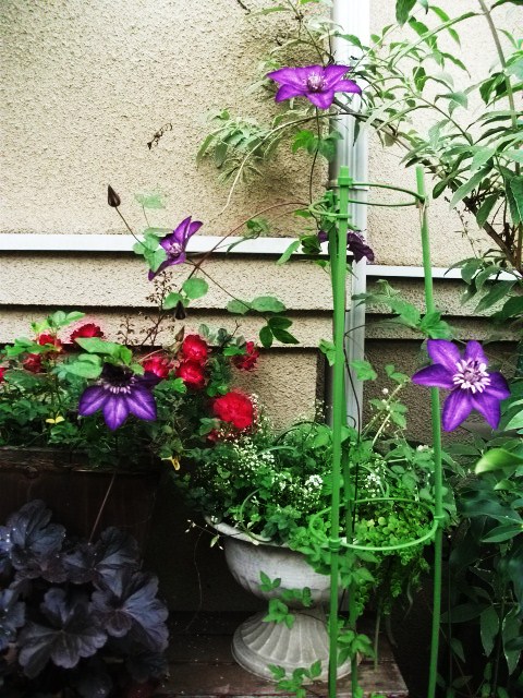 DSCF2809.jpg