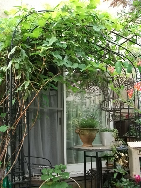 DSCF2819.jpg