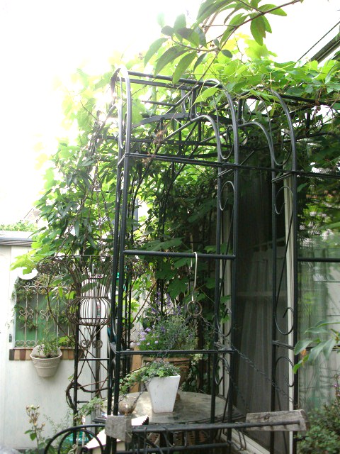 DSCF2820.jpg