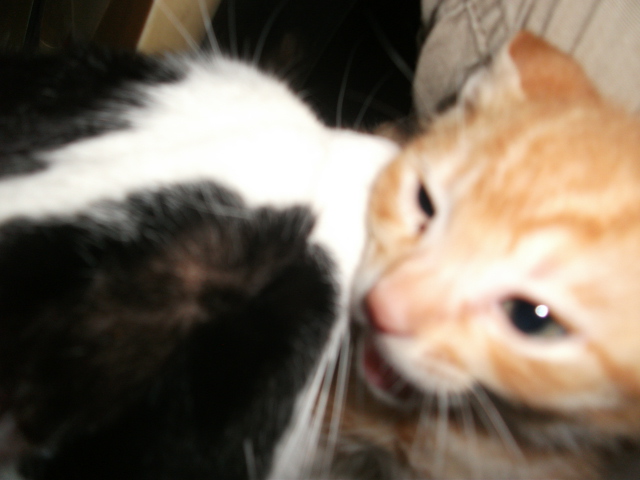 DSCF2838.jpg