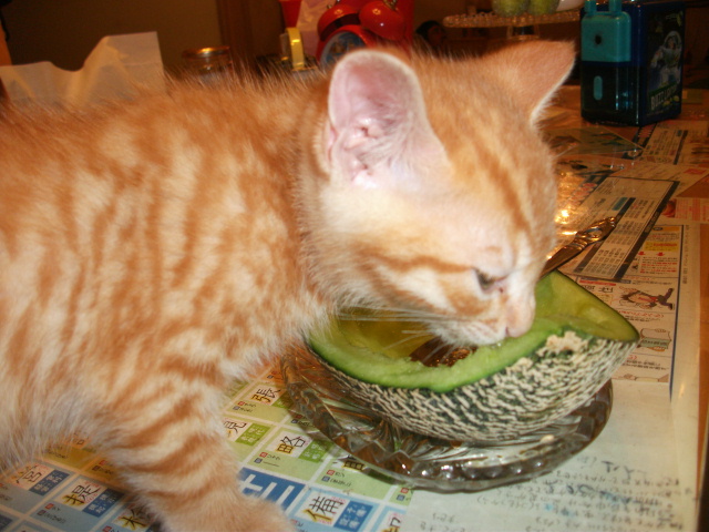 DSCF2863.jpg
