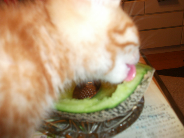 DSCF2864.jpg
