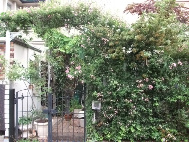 DSCF2908.jpg