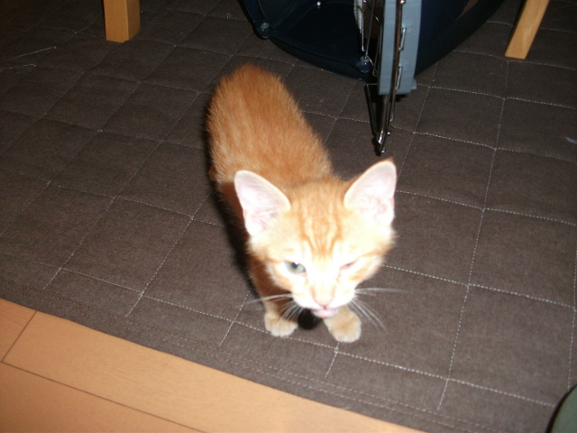 DSCF2976.jpg