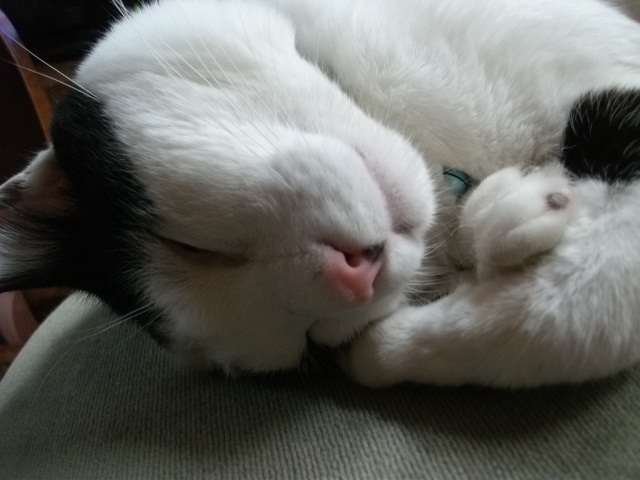 DSCF3015.jpg