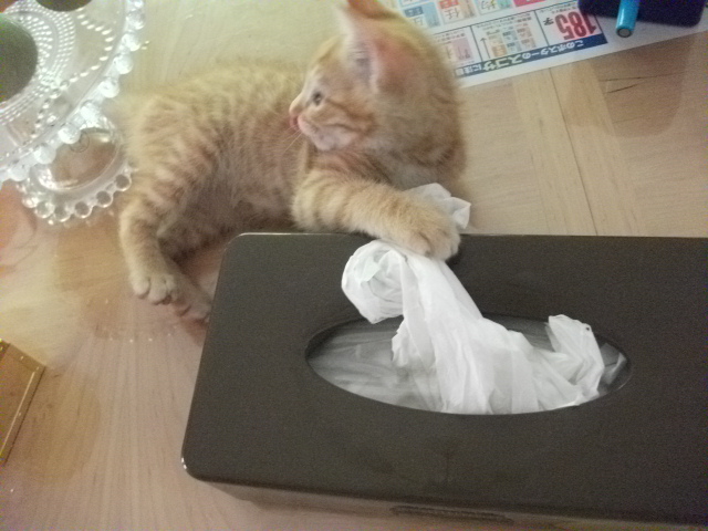 DSCF3072.jpg