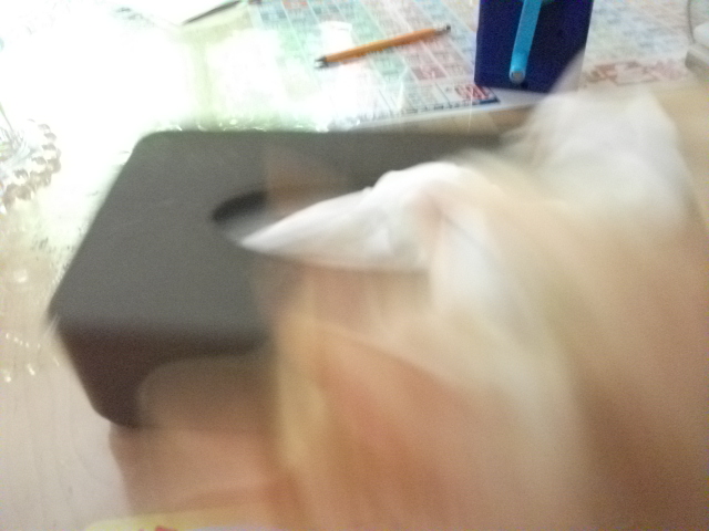 DSCF3073.jpg