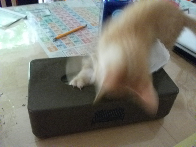 DSCF3078.jpg