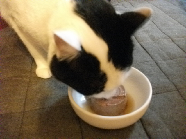 DSCF3093.jpg