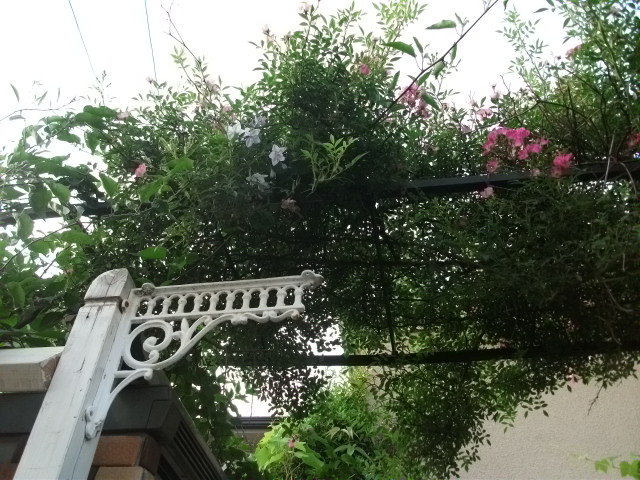 DSCF3169.jpg