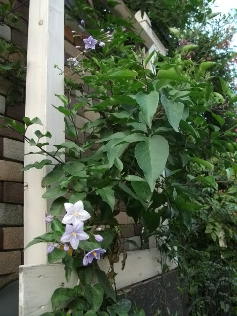 DSCF3170.jpg