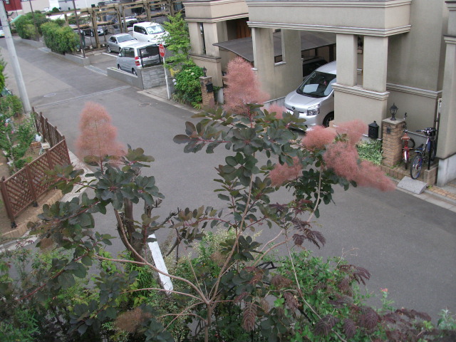 DSCF3182.jpg