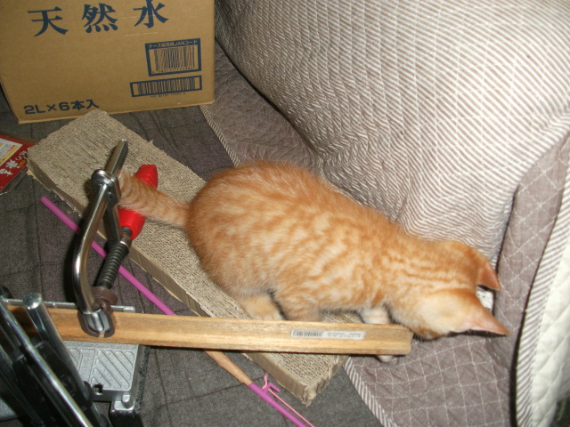 DSCF3246.jpg