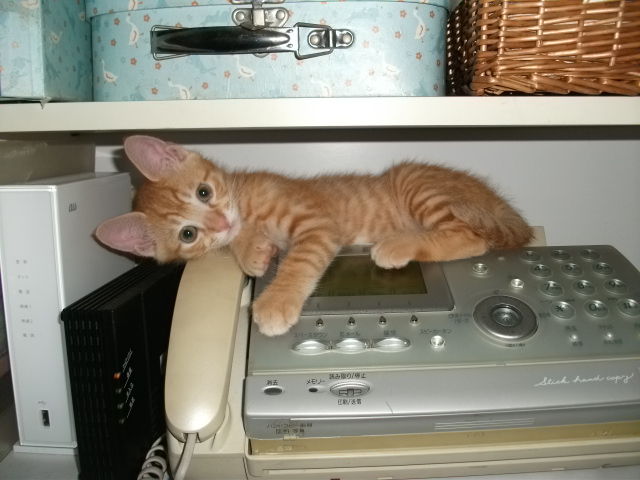 DSCF3290.jpg