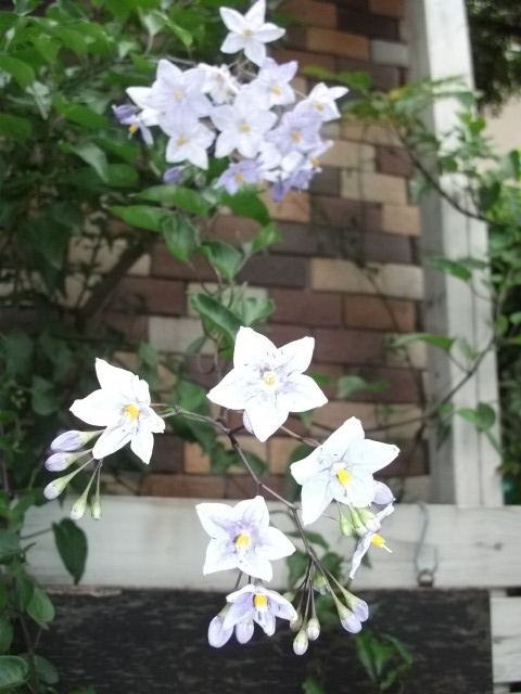 DSCF3349.jpg