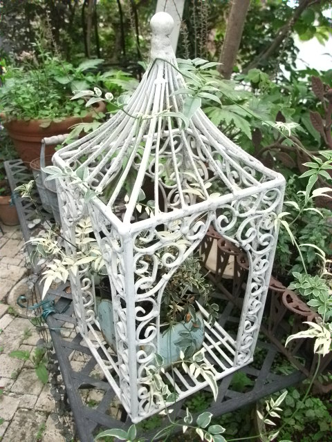 DSCF3355.jpg