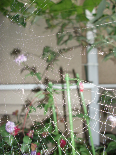 DSCF3357.jpg
