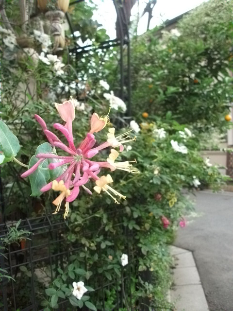 DSCF3369.jpg